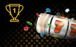 6z bet