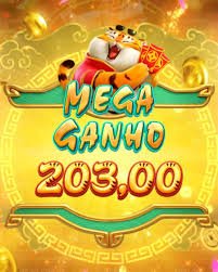 6z bet