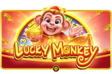 6z bet