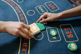 6z bet
